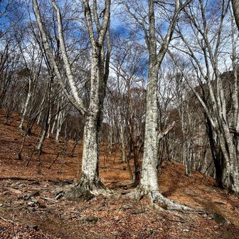 山頂方面は青空💙