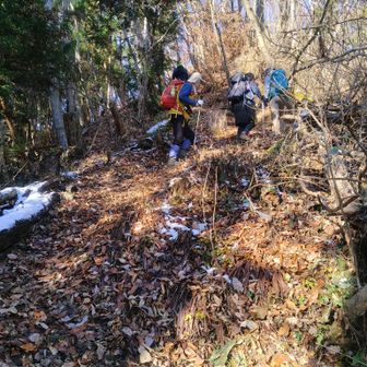 雪がチラホラ👀