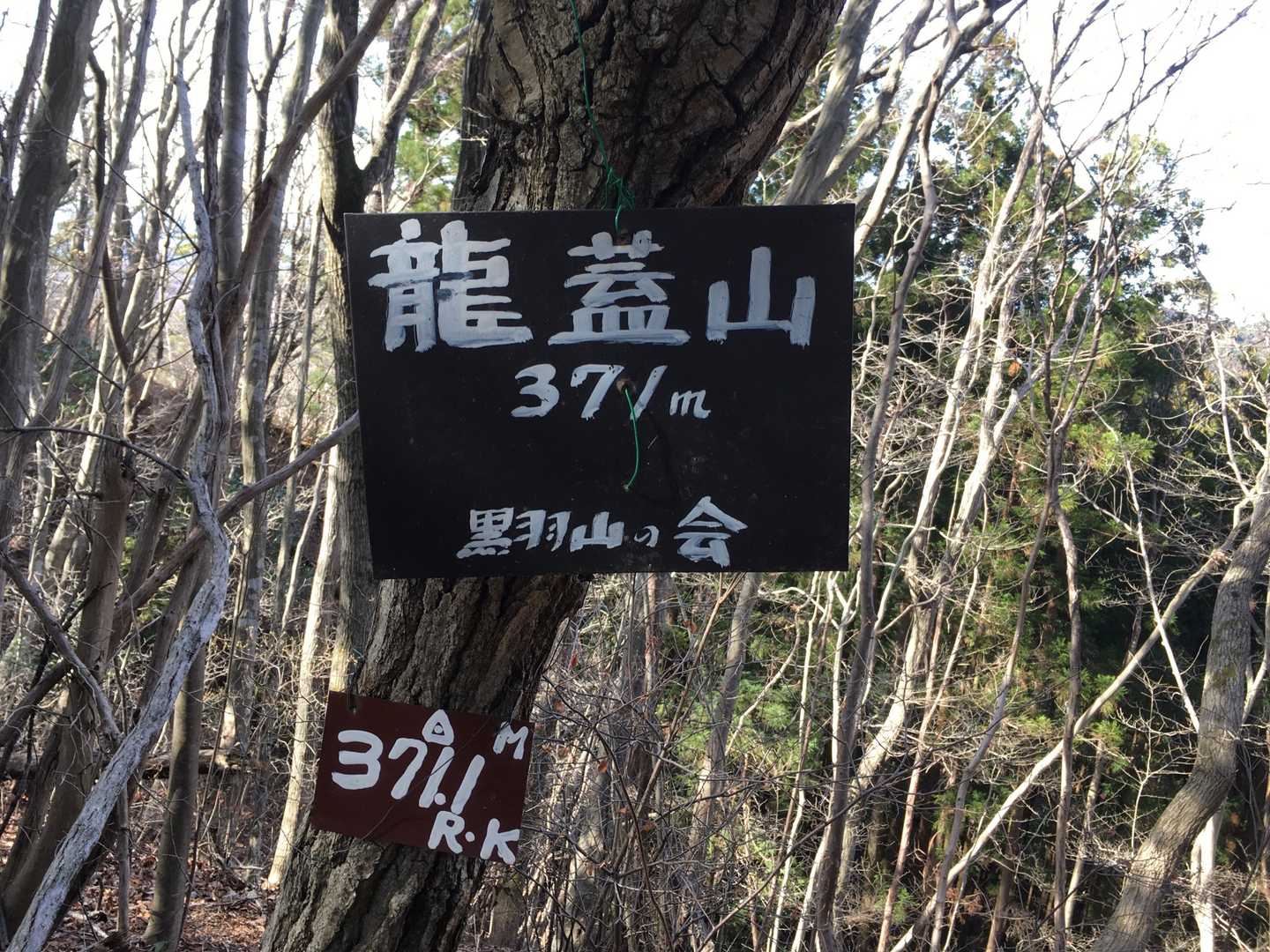 明るくて良い雰囲気。