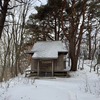 神社発見😶
ここがつくし森山頂かな？