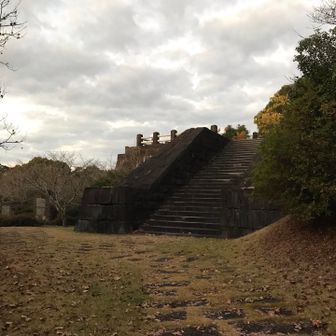 どうやらあの先が頂上部