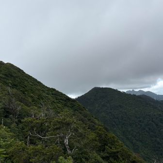 途中、右に烏🐦‍⬛⛰️✨
ワオ〜😃