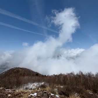 雲の上に来た感じ