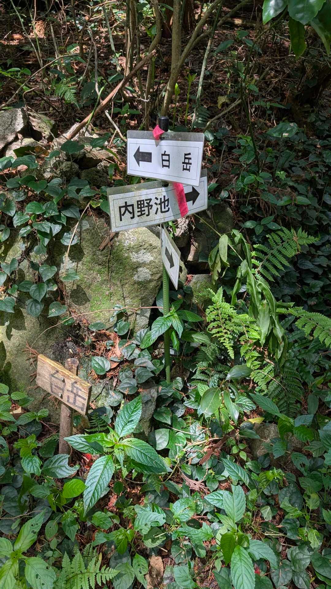 内野池ルートで登ろうと思い行きましたが大変
