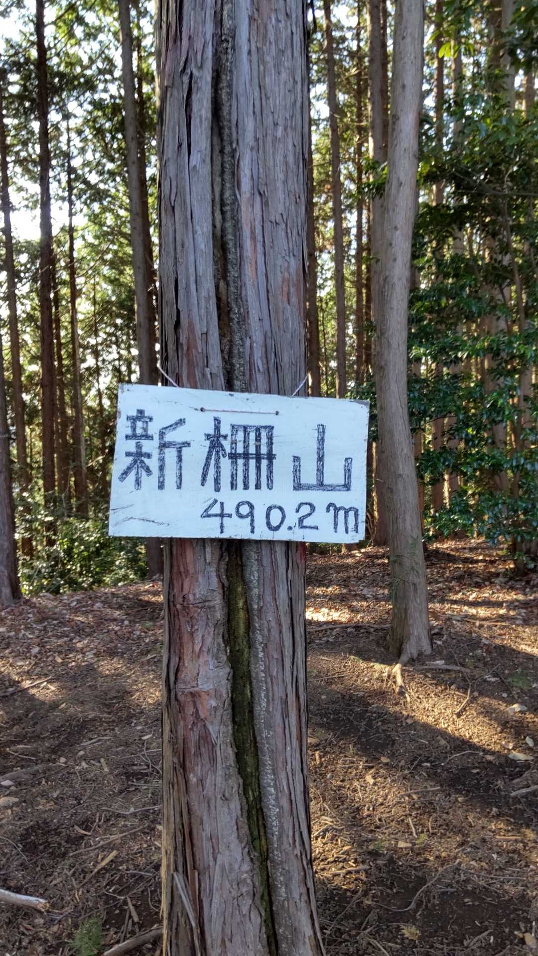 まずは一座目👊,新柵山490m埼玉百名山です!