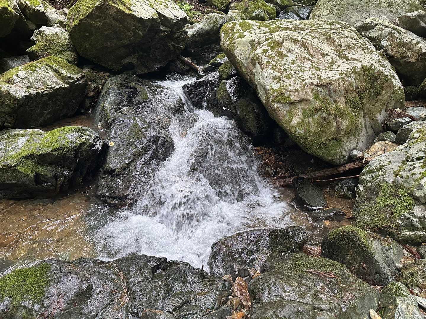 気持ち良さそう