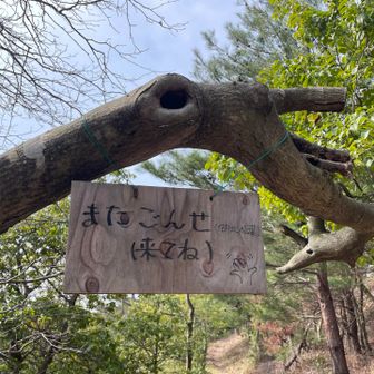 また登りたいです☺️