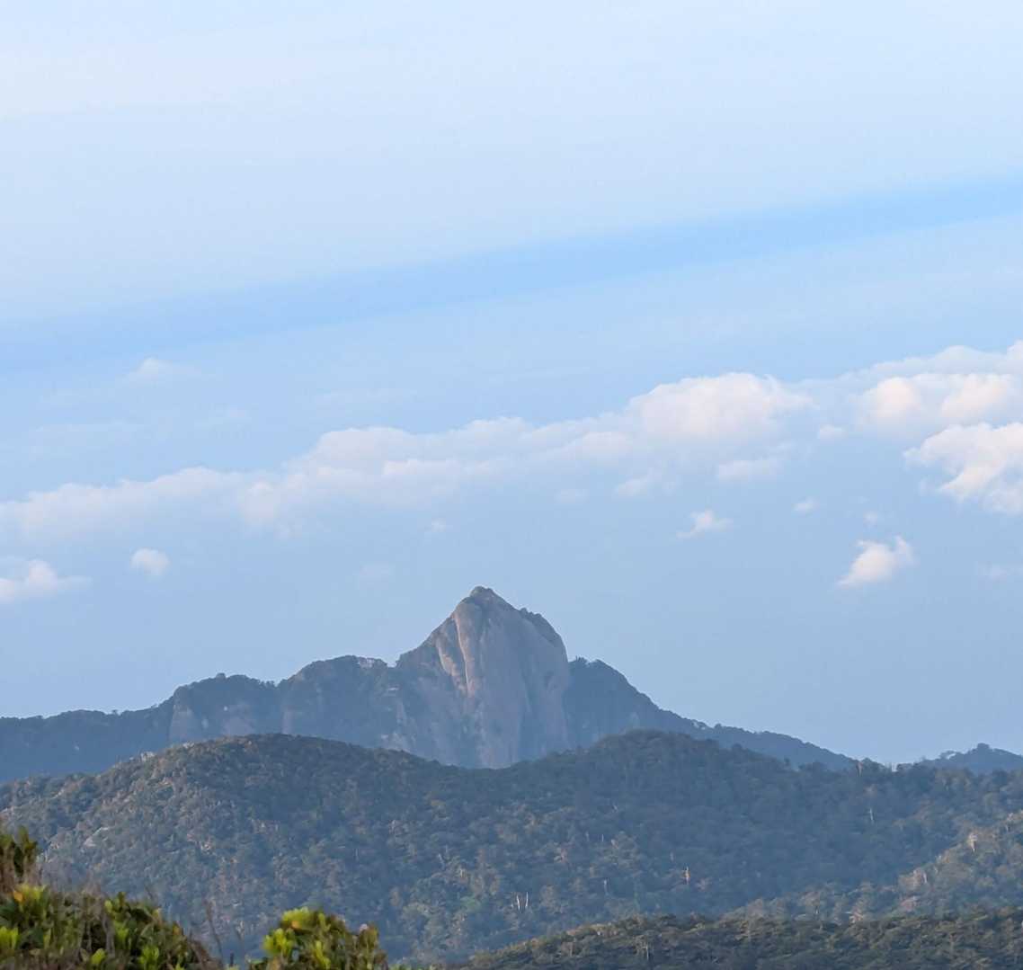 淀川登山口-花之江河-黒味岳-宮之浦岳-永田岳-縄文杉-大 縦走コースの写真