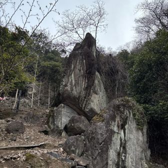 立石🪨
立派🥰