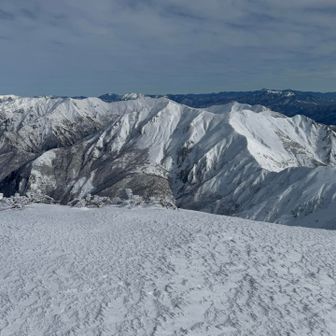 最後に美しい谷川主脈の峰々をしっかりと目に焼き付けて山頂を後にします。
ちょうど真ん中辺りに先日西黒尾根から登った谷川岳のオキの耳とトマの耳です。
奥の黒い峰々は、1番右に皇海山（すかいさん）、真ん中右に日光白根山、真ん中左の方に尾瀬の燧ヶ岳（ひうちがたけ）、1番左に真っ白な平ヶ岳です🏔️