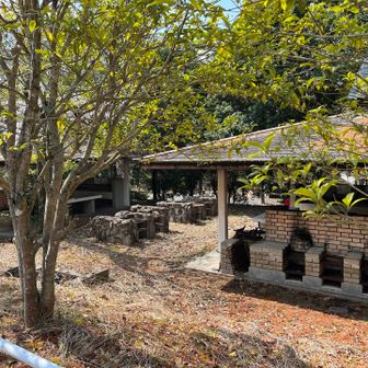 能勢キャンプ場
東大阪にいた迷子の鹿は、大阪市内で捕獲されて能勢温泉のキャンプ場が引き取ったらしいけど、どこにいるのかな？