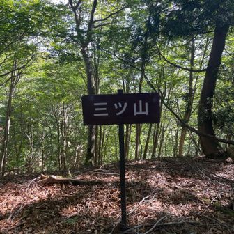 三ツ山ピーク