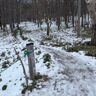 出だしから雪ついてますが、最初はチェーンスパの方が歩きやすいかな