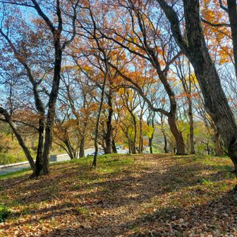朝日峠展望公園の駐車場が見えてきました。
クルマ好きが集まってますね。