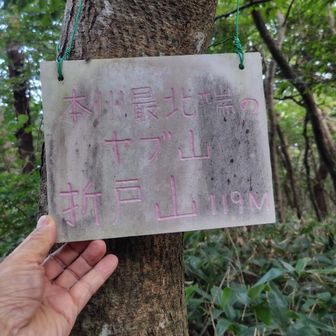 山頂到着。
「本州最北端のヤブ山」