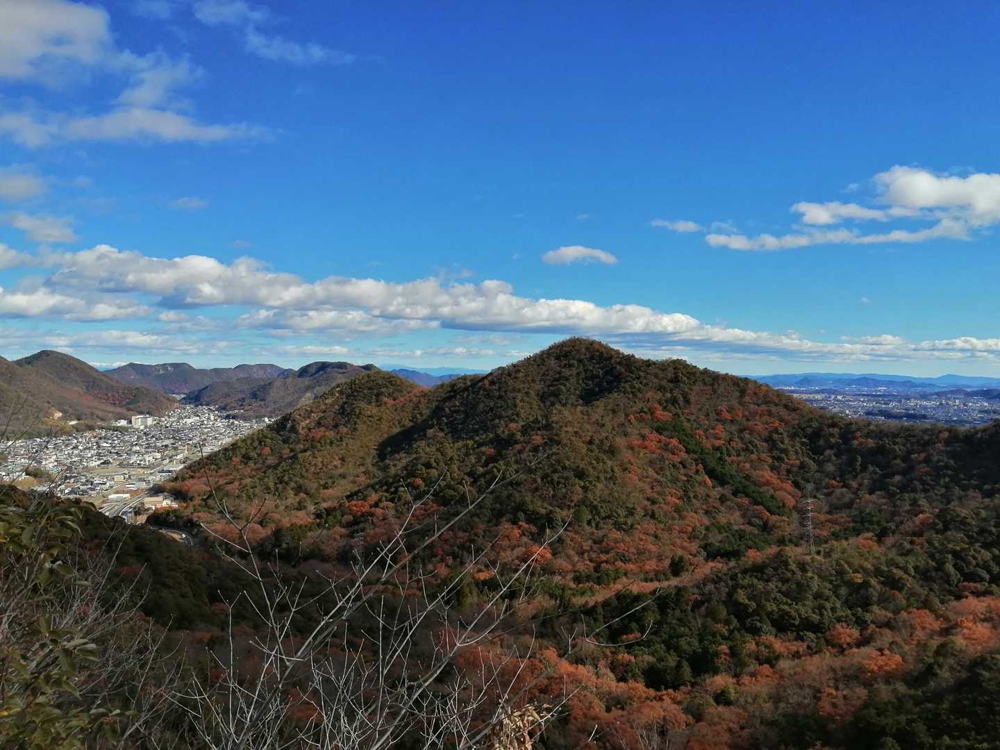 東側。紅葉。