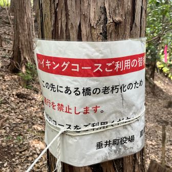 ...残念ながら行けず