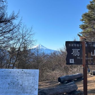 扇山山頂で昼飯休憩をした。昨日買った月餅と朝飯の残りのチョコクロワッサンを食べながら、熱い紅茶を飲んだ