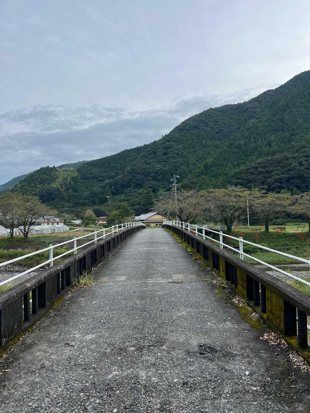 鳥帽子形山 往復コースの写真