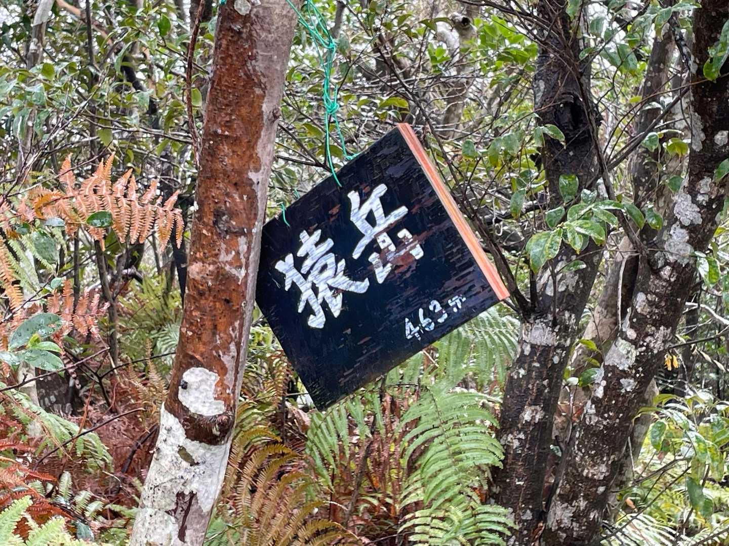 かと思えば、猿岳山頂でまた降雨。。😓