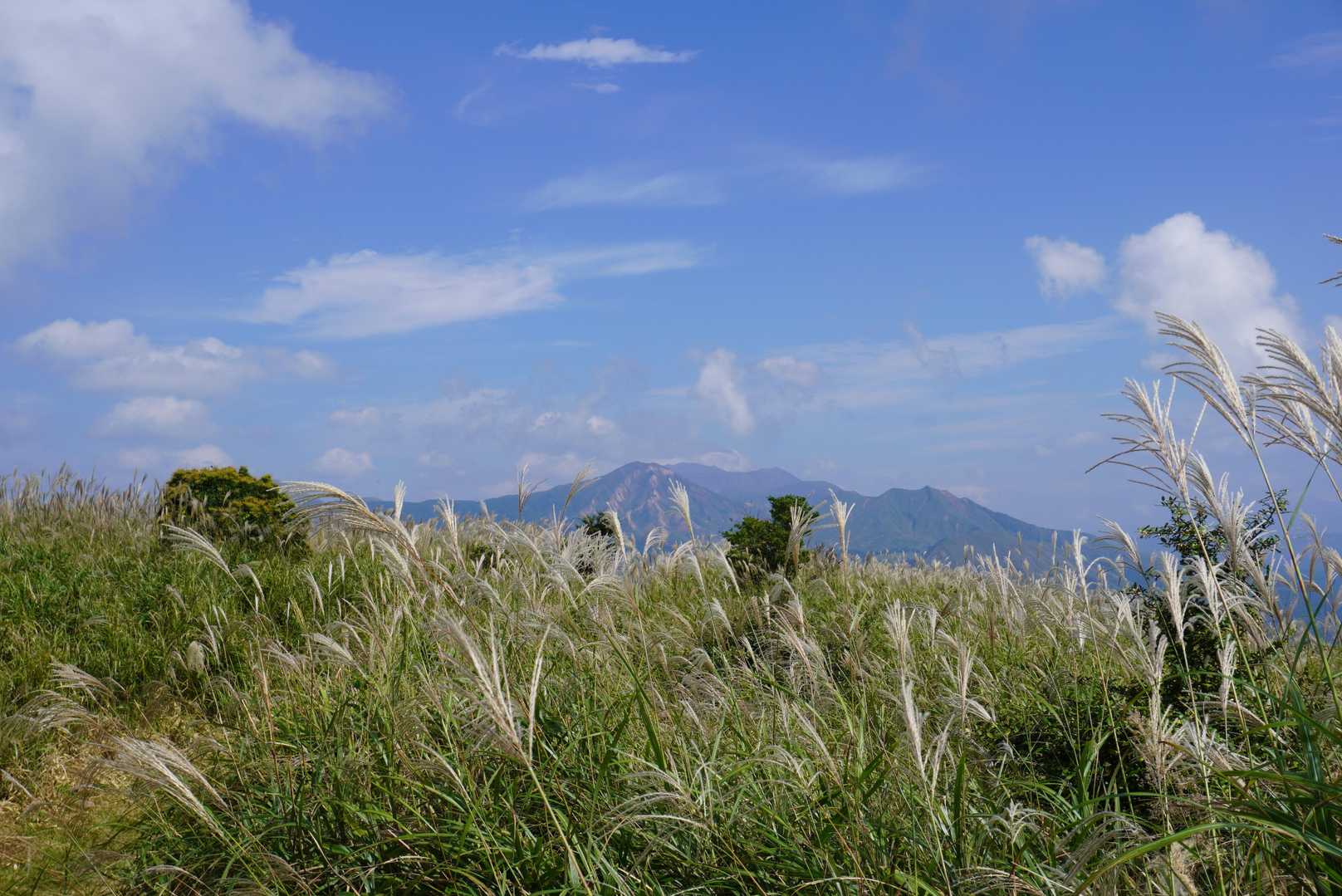 秋の気配ですね～