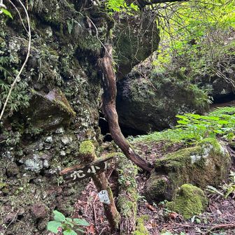 穴小屋標示柱も
だんだん朽ちる一方ですね🥲