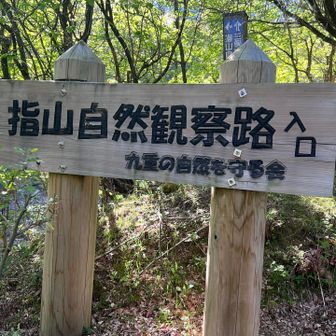 ついでなので登ってみる