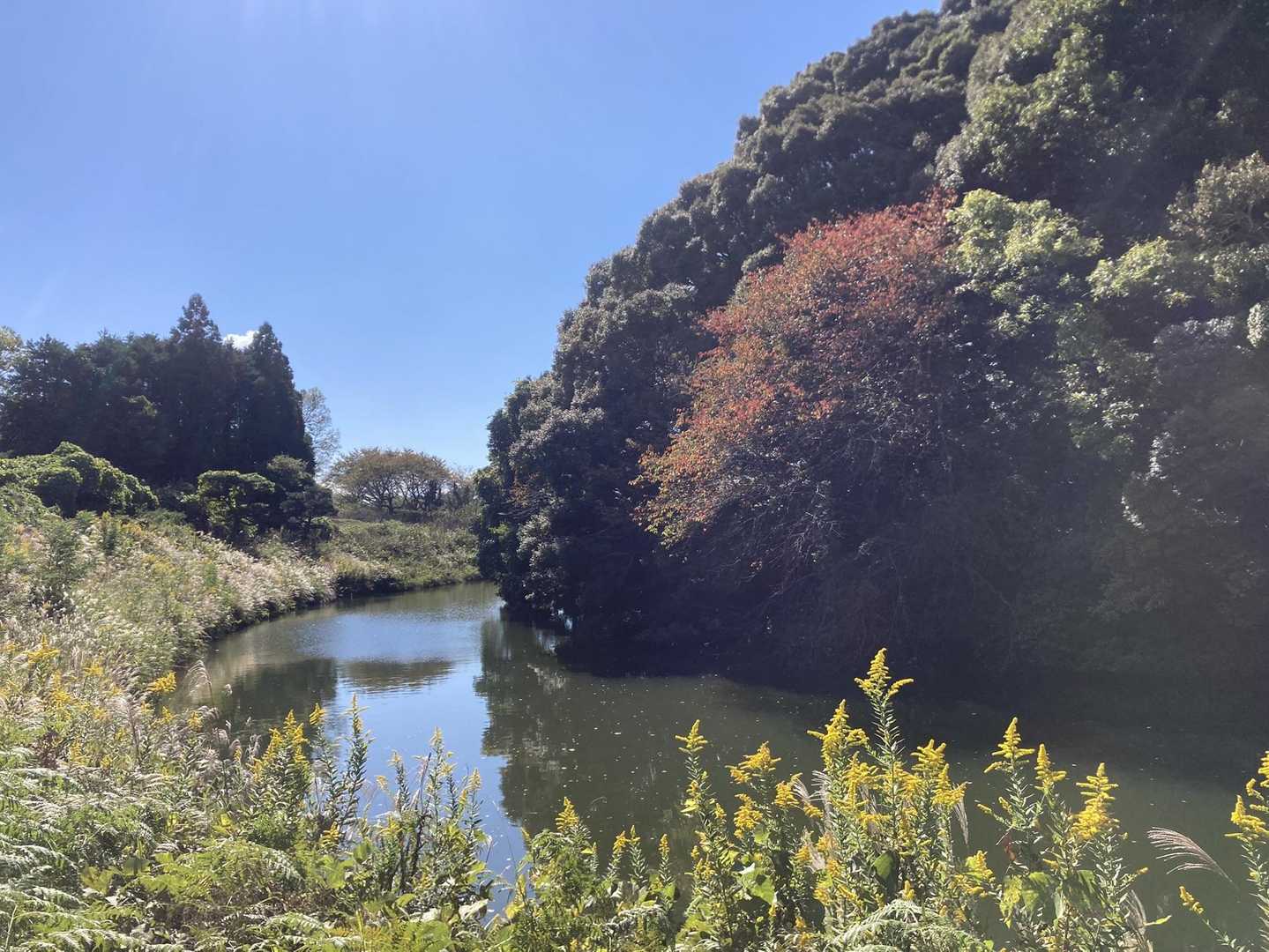 龍王山 周回コースの写真