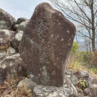 石碑には「真野長者霊験感得本尊　観世音法□御安置之地　太山寺発祥霊地　聖武帝埋経之地」とあるらしい
県生涯学習センターデータベースより引用