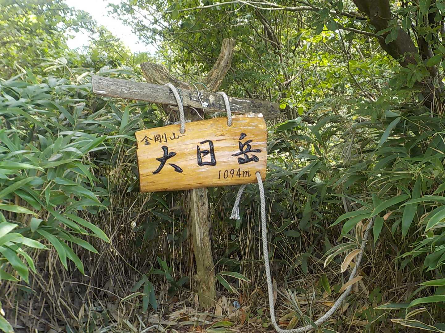 水越峠バス停-紅葉谷-金剛山 周回コースの写真