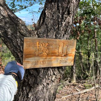 取り敢えず桜山到着