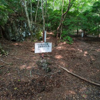 分岐まで戻って、由布岳へ。