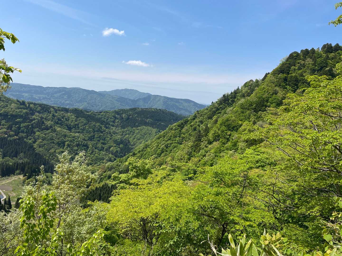 桂原登山口-祖父岳 往復コースの写真