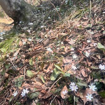 ええーーーっ🤩こんなに🤍