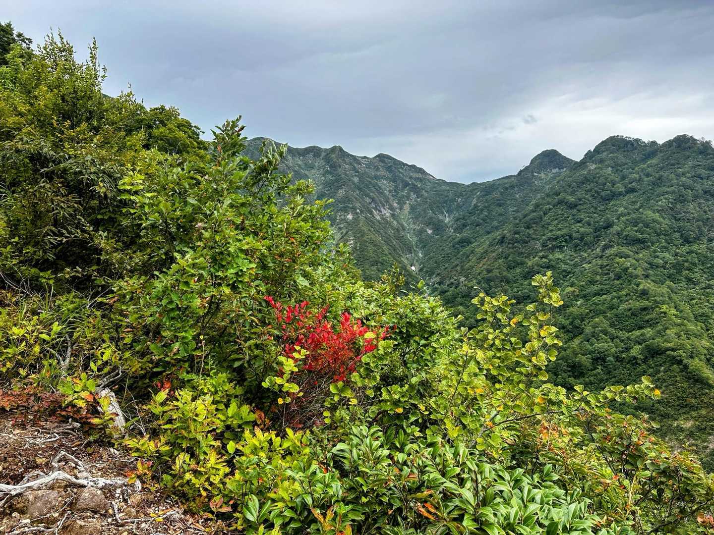 大白川登山口-守門岳 往復コースの写真