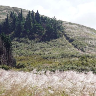 生石山