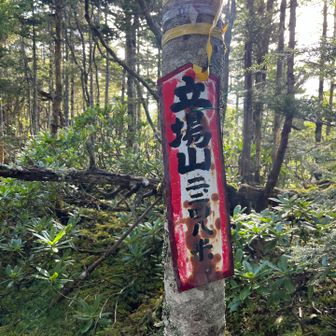 ようやく立場岳に到着！
しかしこの山頂標は立場「山」？🤔
標高もなんか違いますよね