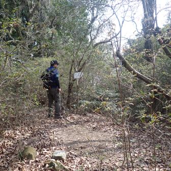 上朽仏山(492m)｡
🎊登ったぞー＼(^o^)／
展望無し｡