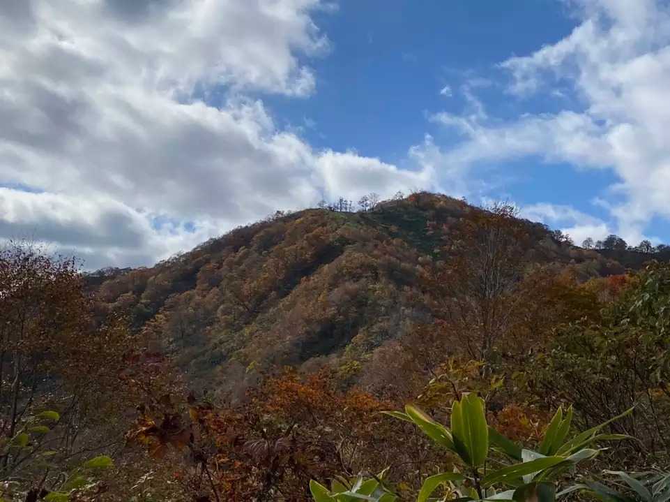 毘沙門岳の写真