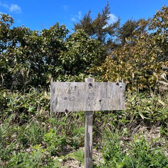 岩倉山サンチョ⛰️