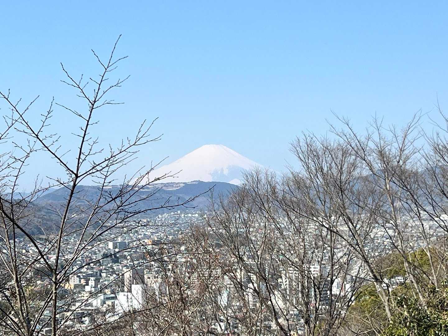 弘法山-吾妻山コースの写真