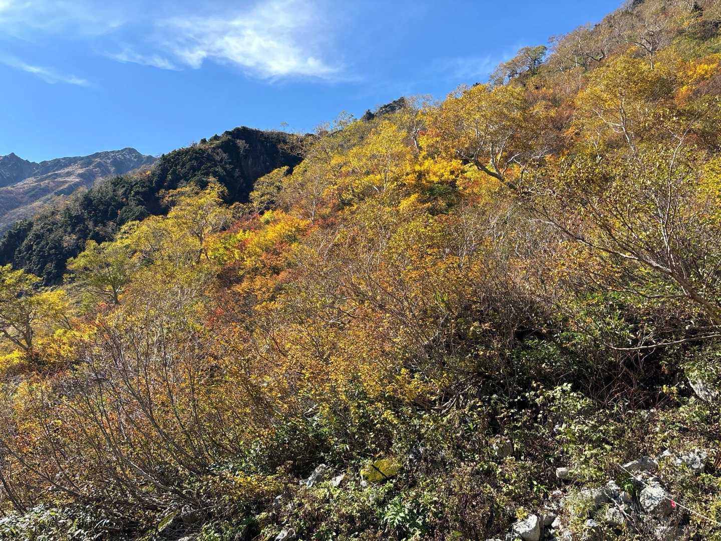 薬師岳登山口-五光岩ベンチ-アラスカ庭園-スイス庭園-祖父 縦走コースの写真