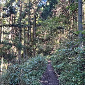 山頂広場へ向かいます。