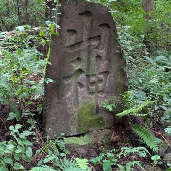 立派な山神様の石
