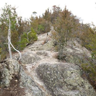 ひえー登るなー
