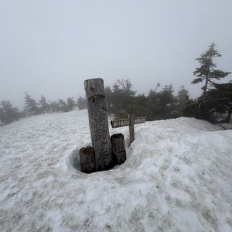 山頂標識
出てた
