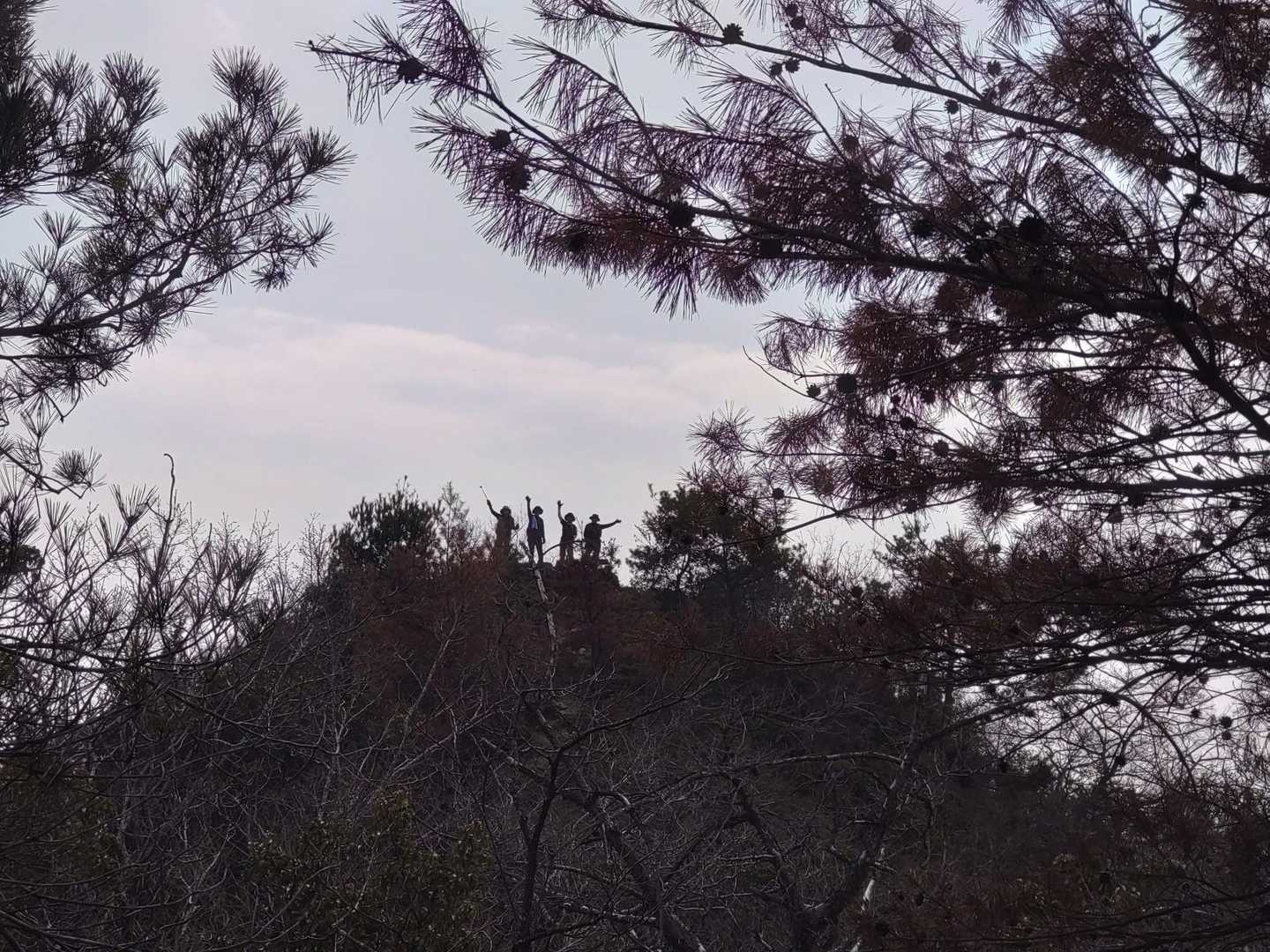 ナイス影絵？
【写真の真ん中４名
♥】ですね👍🏾