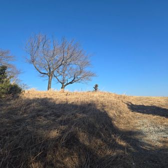 あそこ、多分、景色良さそう…
つい足早になります🏃‍♂️