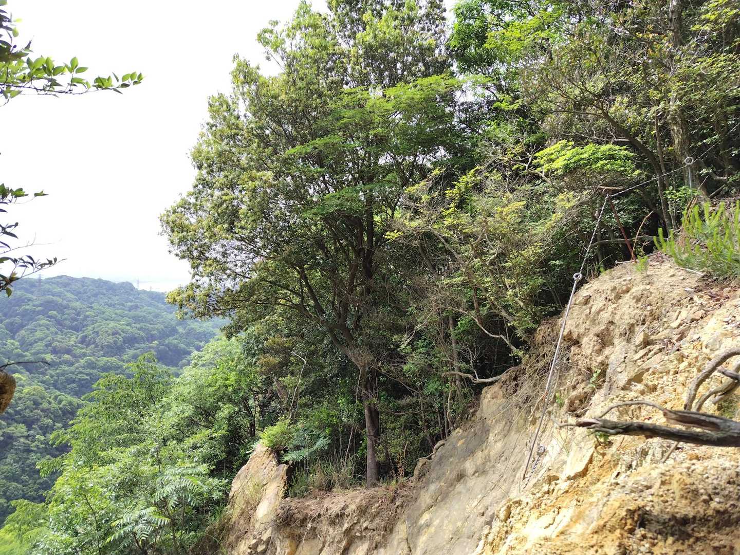 ここは2017年の豪雨で崩落したそうです。