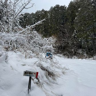 舗装道路を30分歩いて鷹巣山駐車場に到着。　結構雪が降っています。